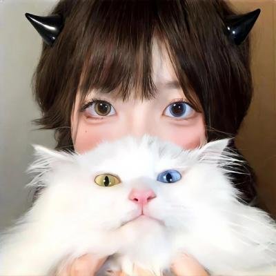 小刺猬与魔法石